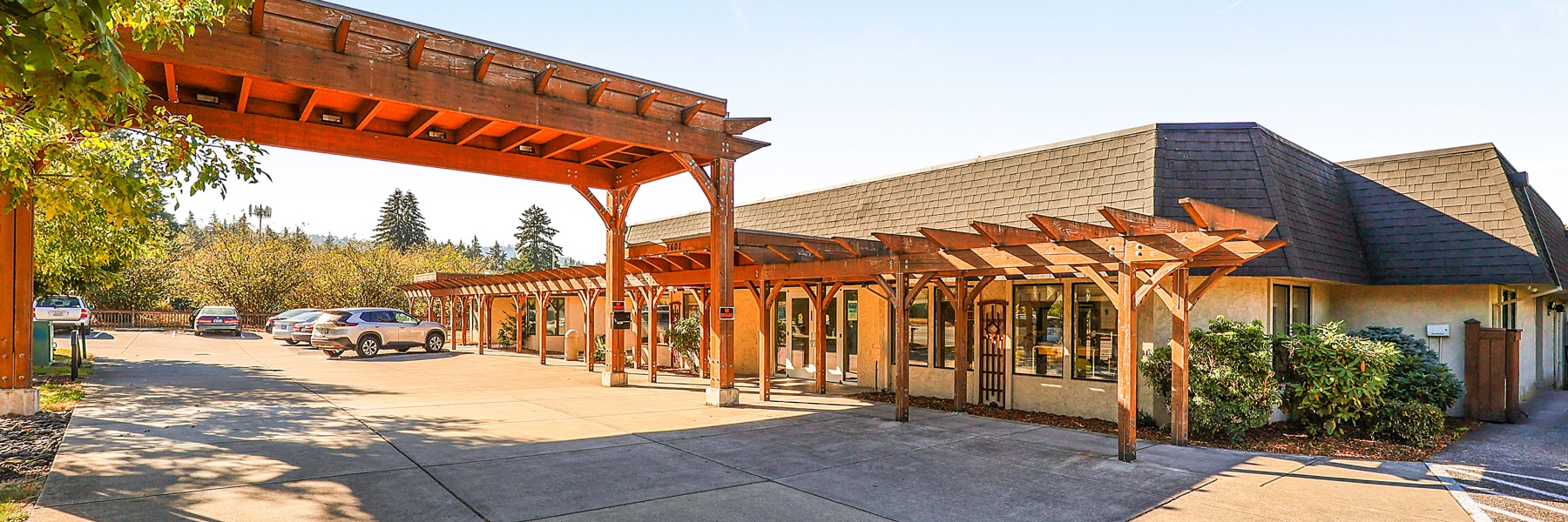 Desktop Background Image